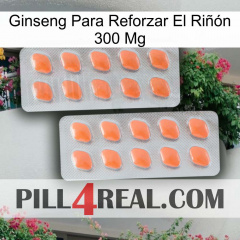 Ginseng Para Reforzar El Riñón 300 Mg 27